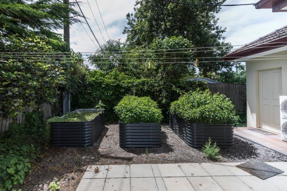3 Bdrm 2 Bthrm House Close To Canberra Cbd & Anu ภายนอก รูปภาพ